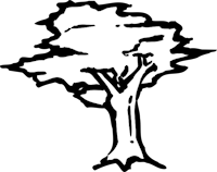 Forest Bible Chapel